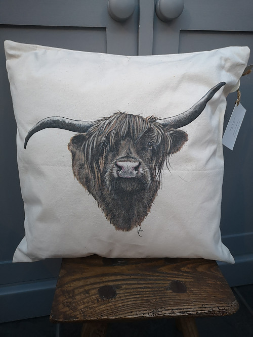 Hairy Yin cushion - Click to Enlarge