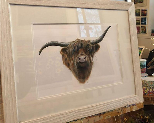 Highland Cow original painting, Hairy Yin. - Click to Enlarge