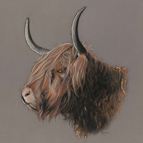 Original Highland Cow Art, 