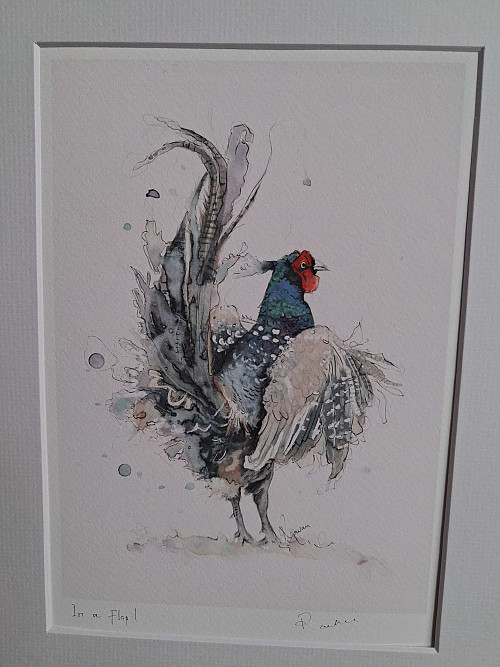 Pheasant Giclee Art Print. &nbsp;Watercolour Pheasant - Click to Enlarge