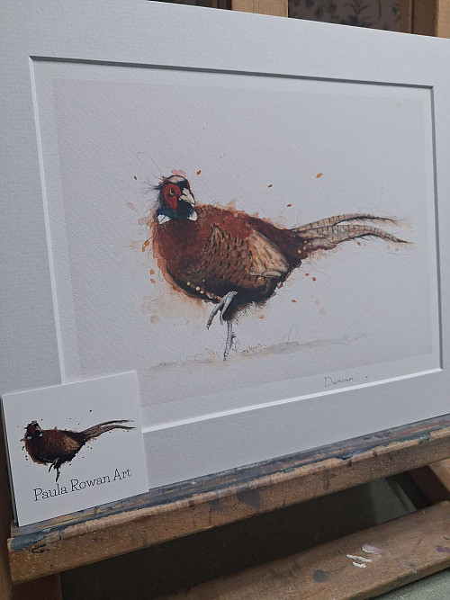 Pheasant Watercolour Giclee Print, Mounted Bird Art. - Click to Enlarge