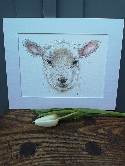 Little Lamb - Click to Enlarge