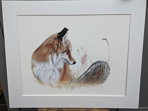 Foxy Lady - Click to Enlarge