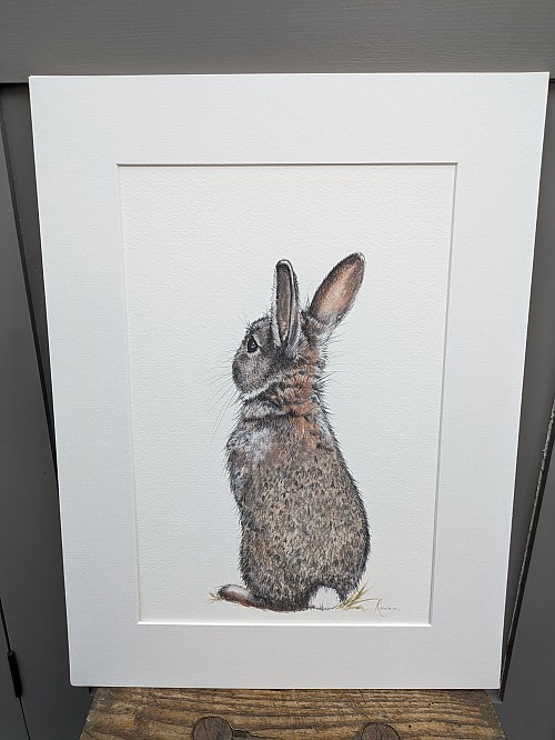 All Ears Rabbit wall art print. - Click to Enlarge