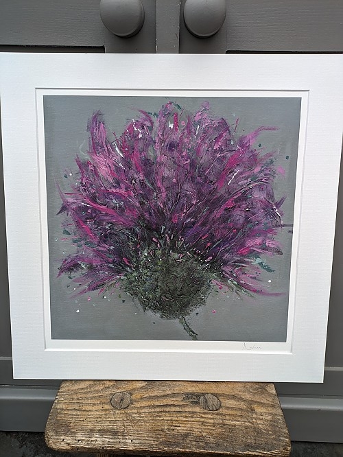 Aoife Thistle - Click to Enlarge
