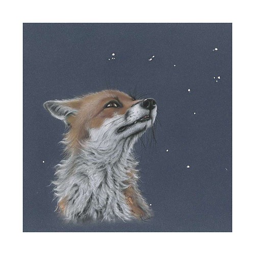 Fox Art Print, 