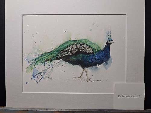 Peacock Art Print. 