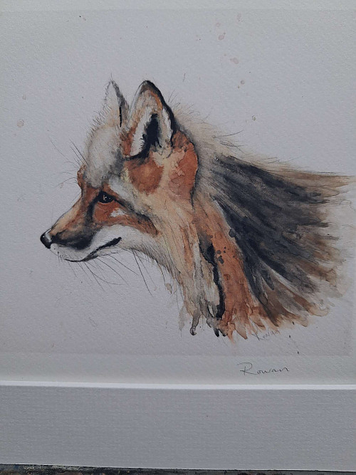 Fox Giclee Art Print. Watercolour Fox. Mounted Art. - Click to Enlarge