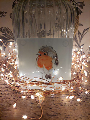 Rosie Robin Glass Coaster