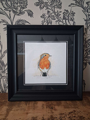 Robin Watercolour Painting. Framed Art.