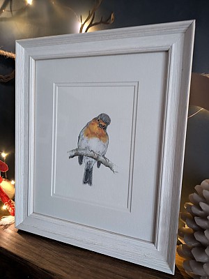 Robin Painting. "A Winters Morning"