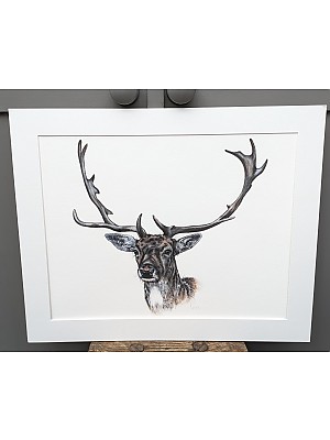 Highland Lad, Stag wall art print.