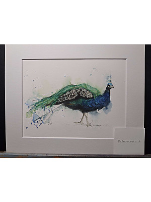 Peacock Art Print. "Olsen"